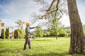 Best Aeration Services  in Grapevine, TX
