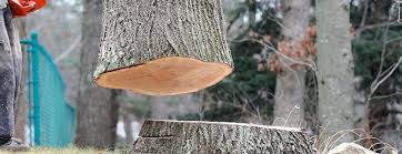 Best Tree Mulching  in Grapevine, TX