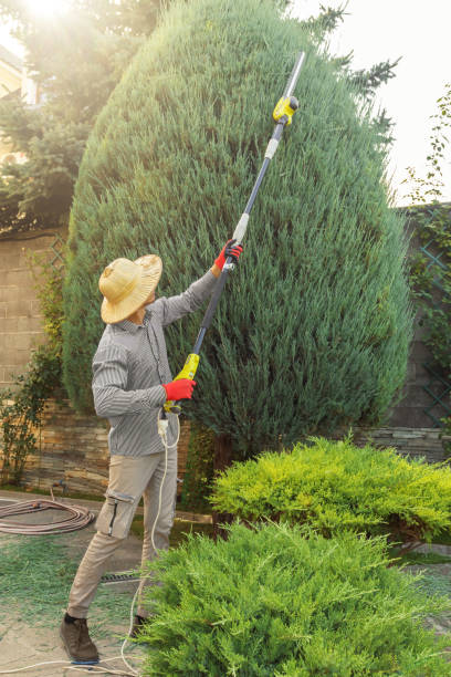 Best Commercial Tree Services  in Grapevine, TX